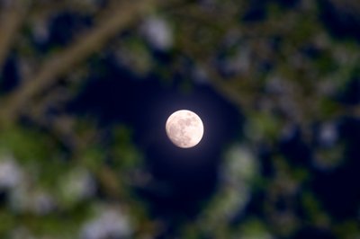 Variation autour d'un même thème_4554985143_l.jpg